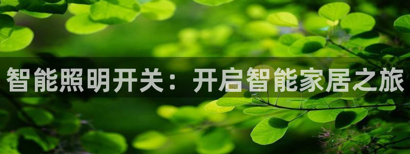 yd2333云顶贵宾会