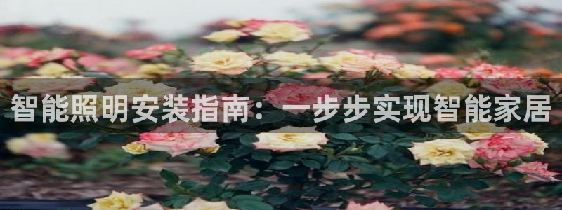 云顶1026