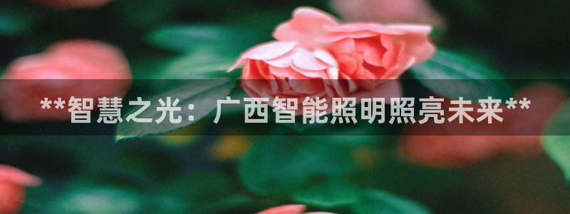 云顶国际官方网站下载手机版
