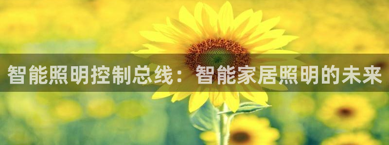 云顶国际服什么时候更新s9