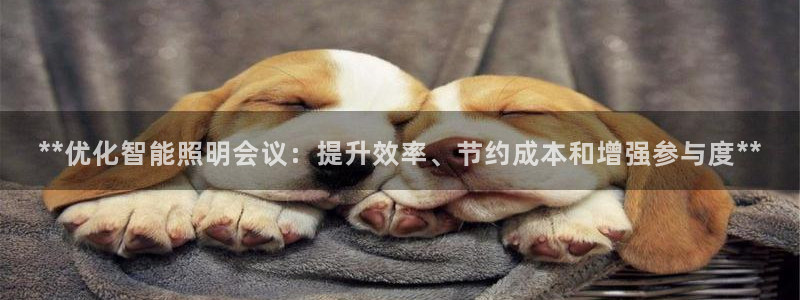 云顶电玩城游戏官网