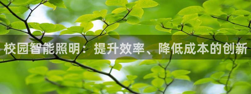 云顶集团游戏app特色