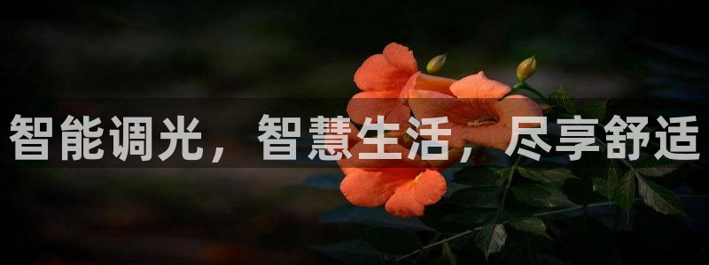 云顶国际商业广场 停车费怎么收