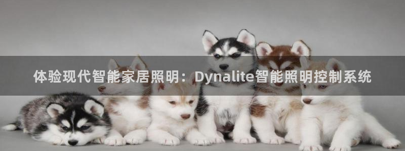 40081122云顶