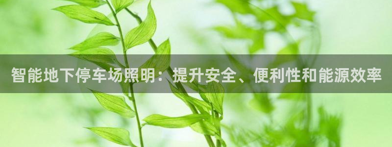 云顶yd官网2021