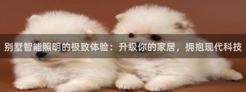 云顶国际服什么时候更新s115
