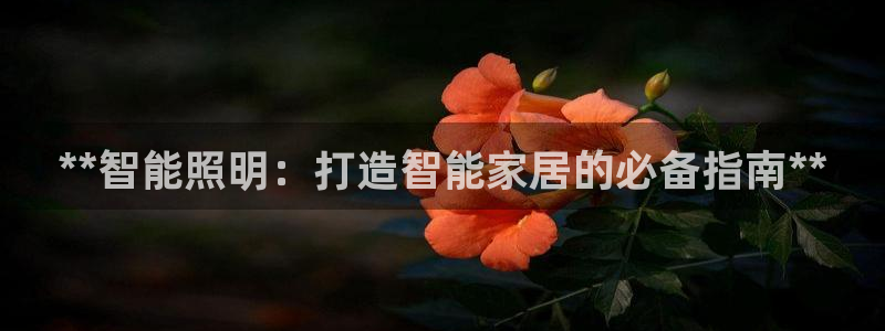 云顶国际大酒店电话