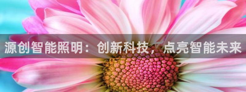 云顶国际服s9更新时间