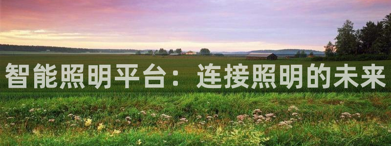 云顶集团董事长林东