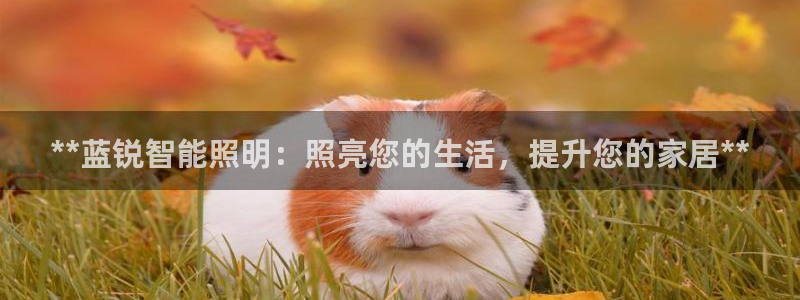 云顶国际物流电话