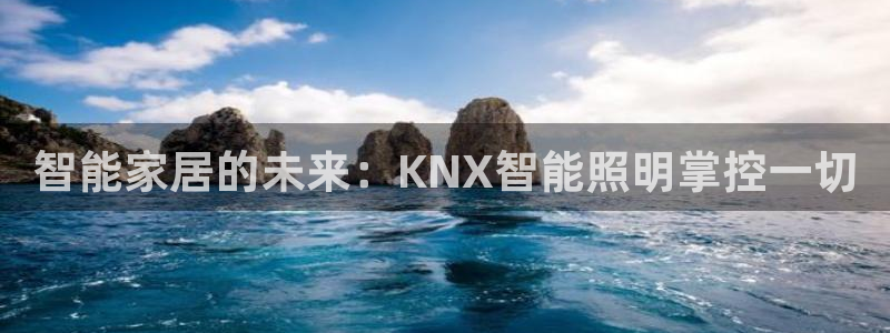 云顶国际测试服免费吗