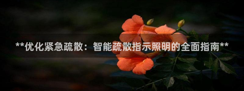 云顶国际服更新时间是多久