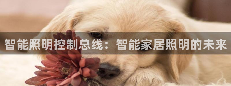 云顶国际下载地址