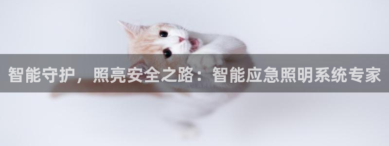 云顶国际集团 深圳