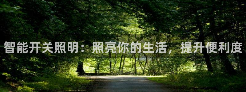 yd12300云顶线路