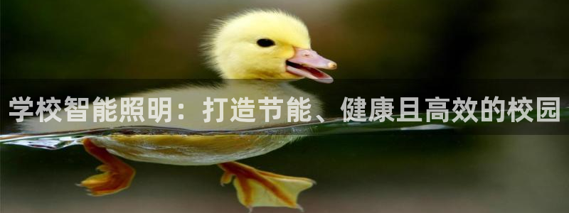 云顶国际能提现吗安卓