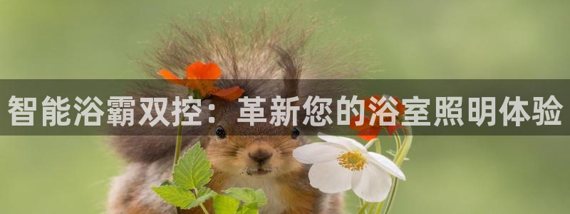 云顶国际创始人是谁啊