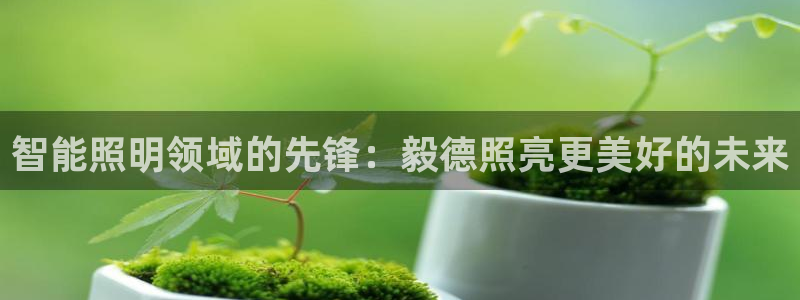 云顶集团董事长是谁