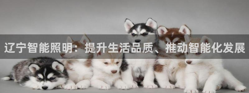 云顶国际提现失败怎么办
