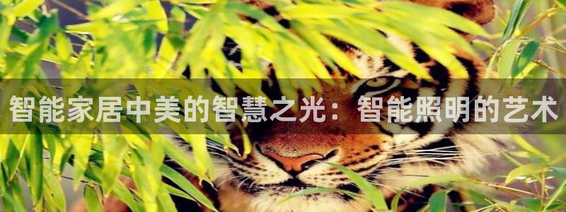 云顶国际取款多久到账啊