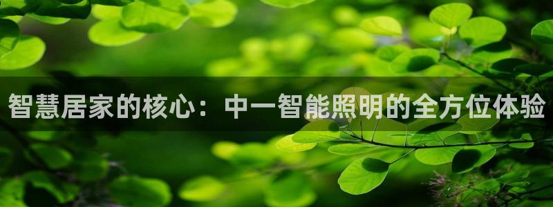 云顶国际在线购彩怎么买