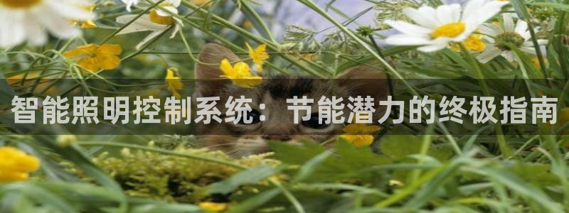 云顶国际网上平台是假的吗?