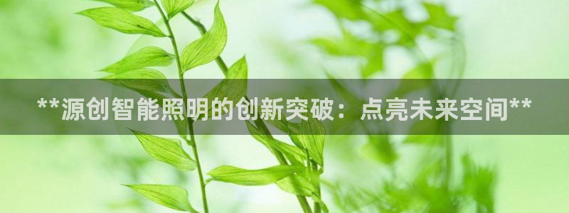 云顶国际app是什么