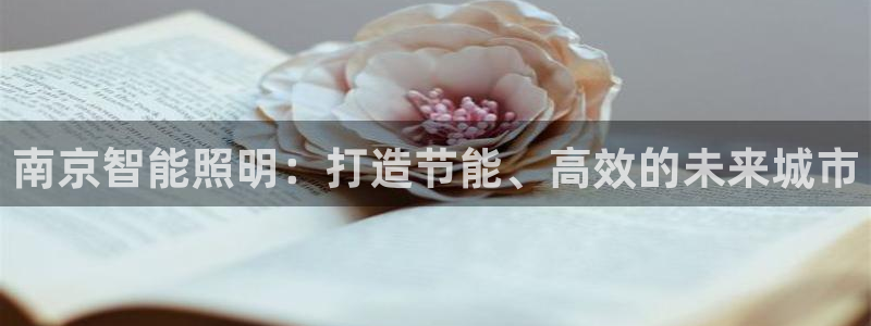 云顶国际logo