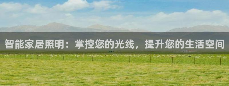 云顶国际物流有限公司