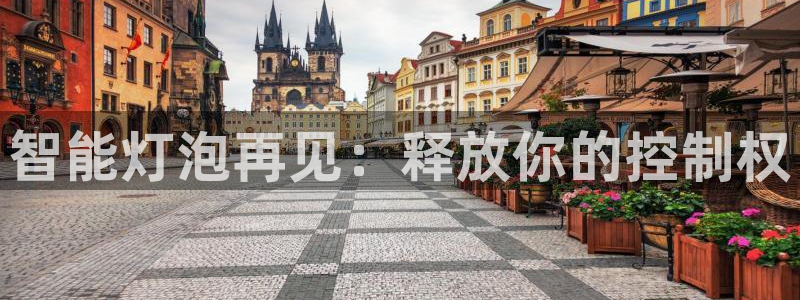 云顶国际是做什么的公司