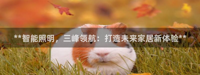 云顶国际物业电话