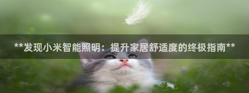 云顶国际培训中心官网