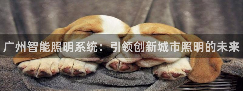 云顶电子游戏平台