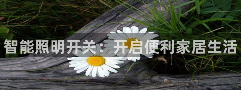 云顶国际黄钊华