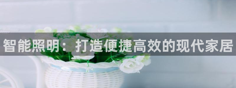云顶国际物流有限公司