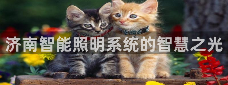 云顶集团董事长林东简历图片