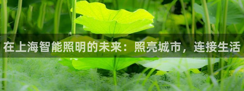 云顶国际百度百科