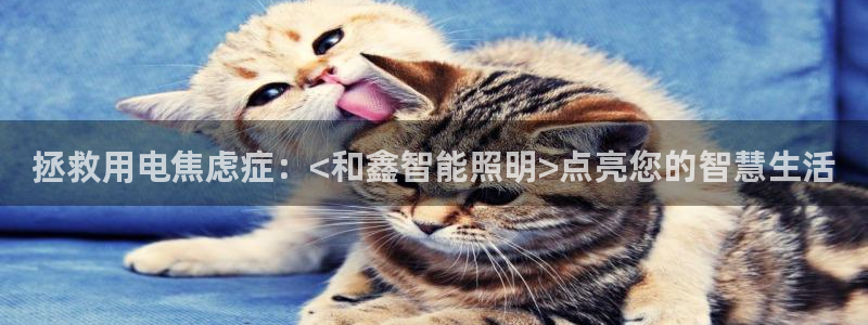 云顶国际服是哪个服