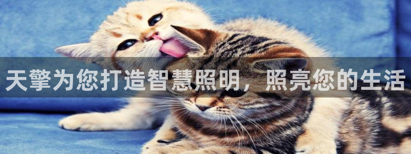 云顶集团总裁