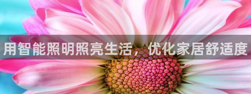 云顶国际提现不到账什么原因