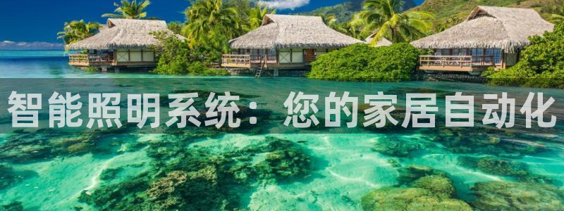 云顶国际77026