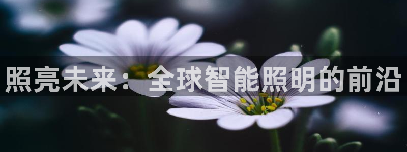 云顶国际官网下载