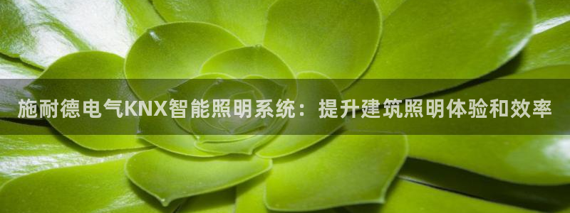 云顶国际公馆物业电话