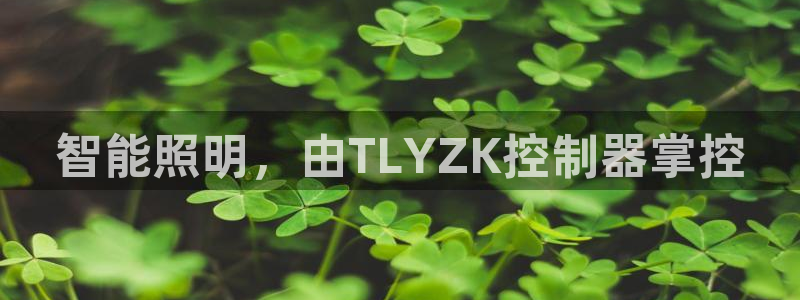 云顶集团网站多少钱一个