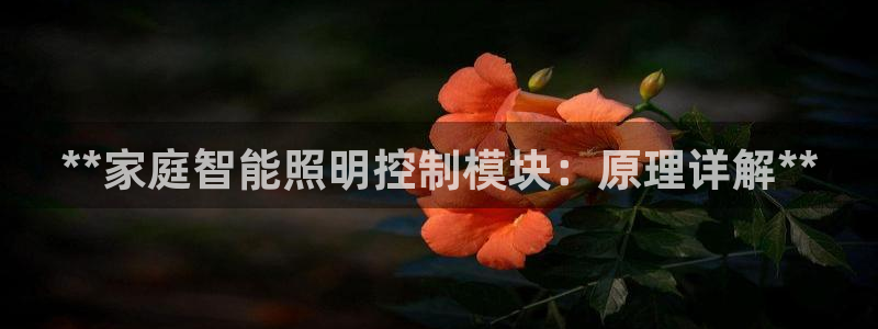 云顶国际服选哪个服务器好