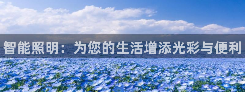 云顶国际服选哪个服务器好