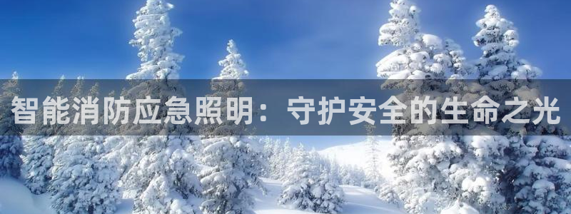 云顶国际服维护时间
