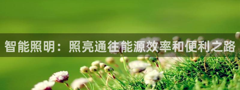 云顶国际能提现吗安卓
