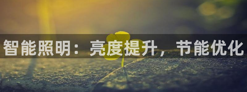 云顶国际物流电话