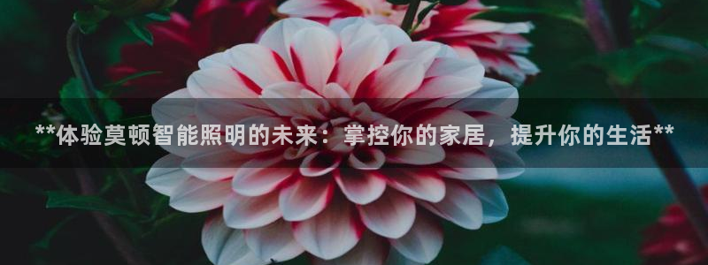 云顶国际服修改不了传说装备